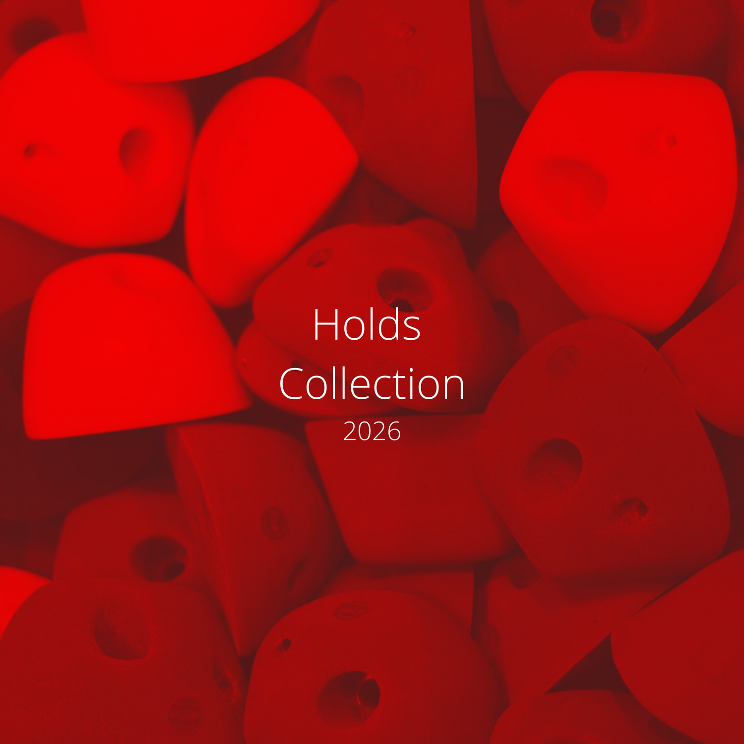 2026 Holds Collection