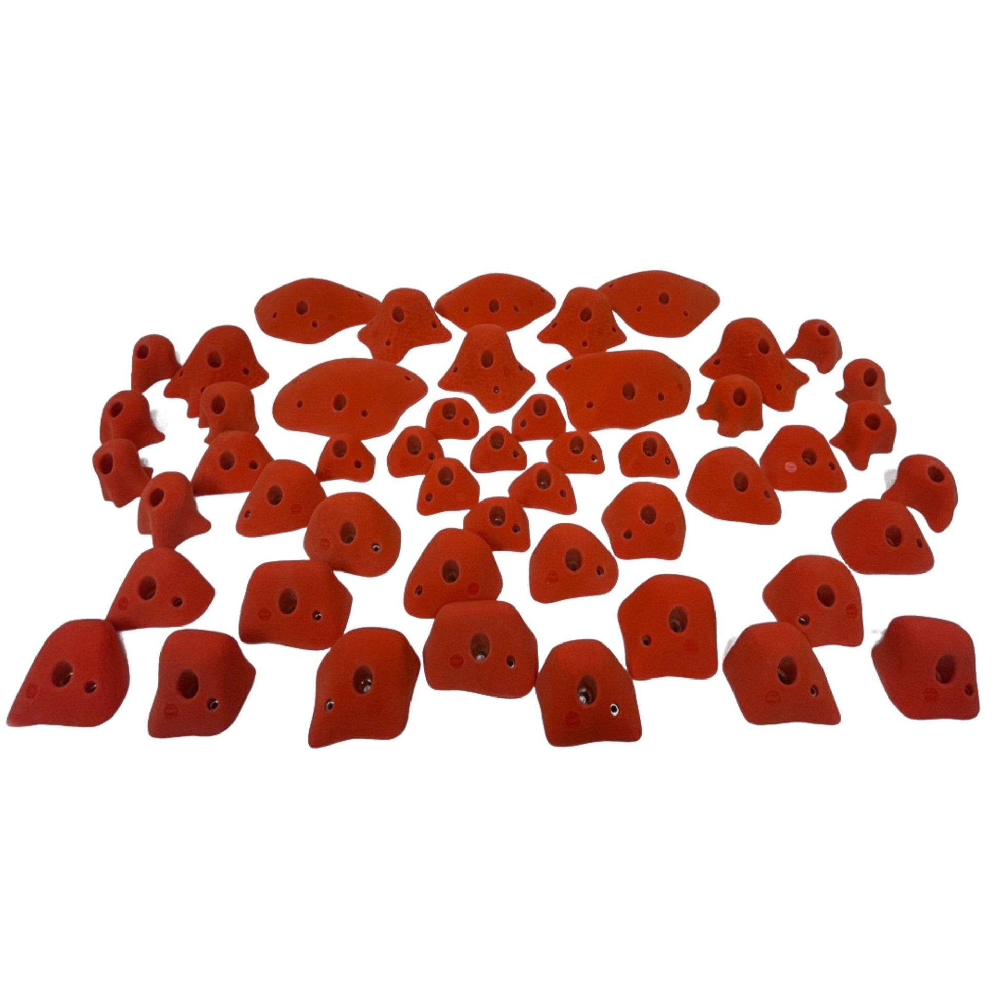 CUI - BEGINNER (2024) - Hold EmporiumHold Emporium