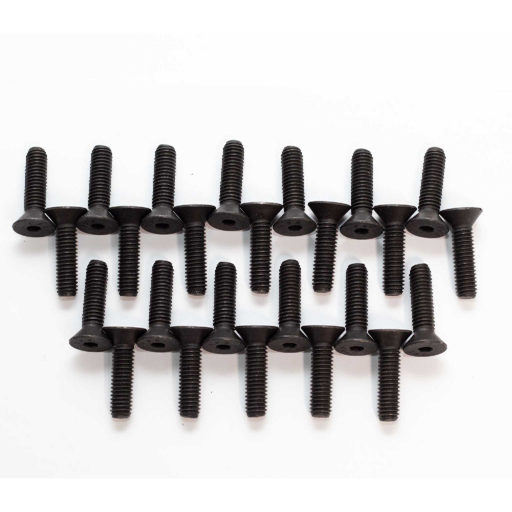 Indoor Flat head Bolts (Martini Bolts) - Hold EmporiumHardwareHold Emporium