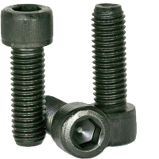 Socket Head Cap Screw - Hold EmporiumPlastickHold Emporium